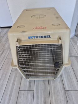 Dog Kennel
