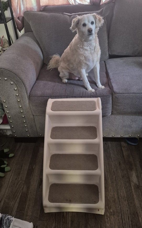 Dog's Ladder
