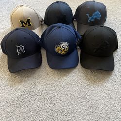 Nike Michigan & New Era Detroit Lions Flex Fit Hats 