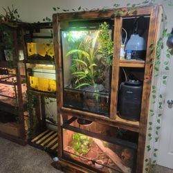 Reptile Tanks Stands