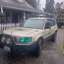 2003 Lifted Forester 