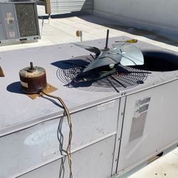 Fan Motor