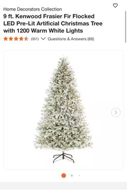 Kenwood Fraser Fir 9ft Christmas Tree