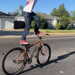 Big Flyer