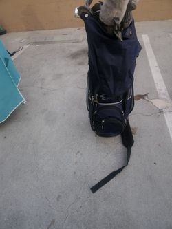 Golf caddy with everything