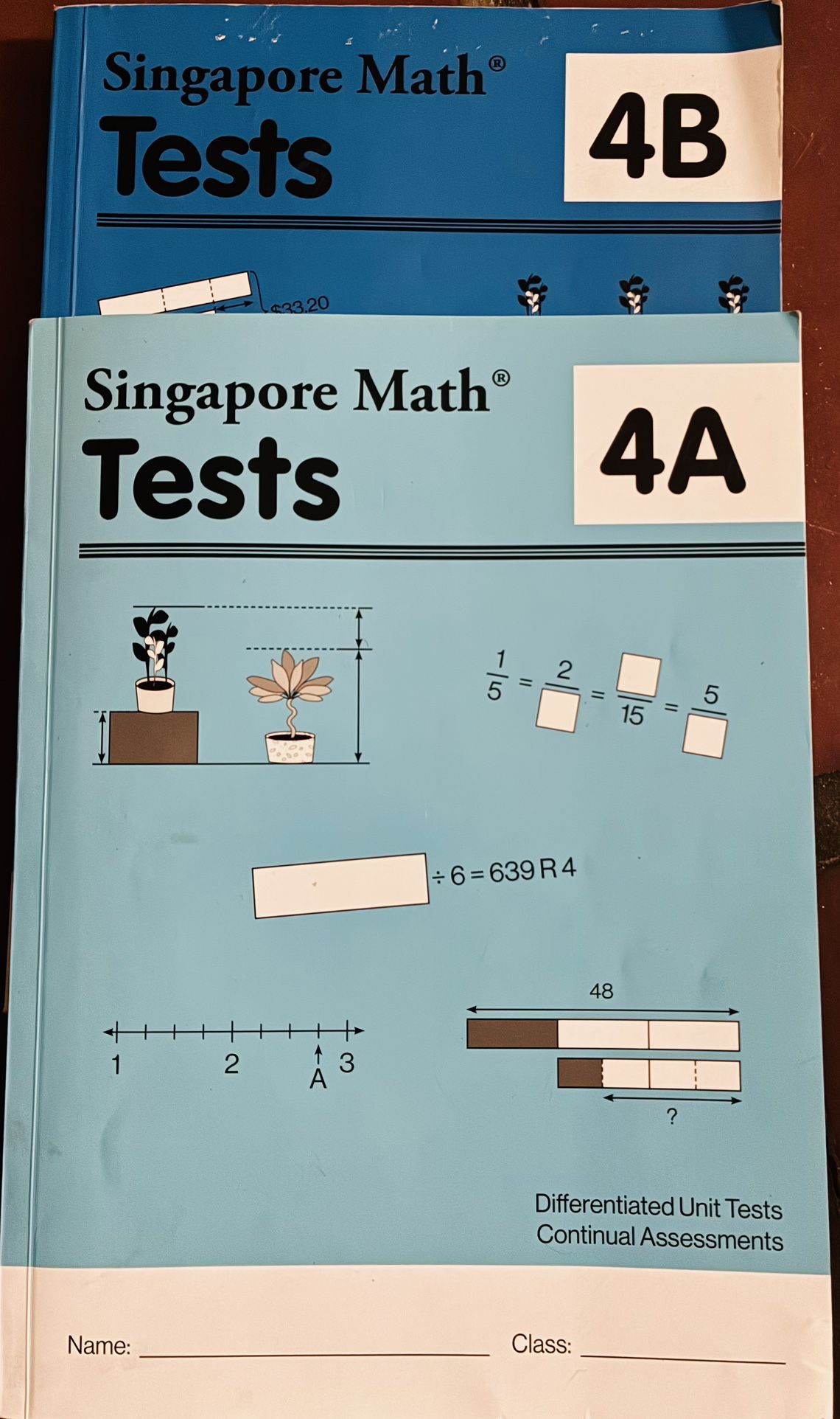 Singapore Math Test Book