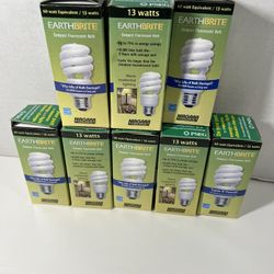 EarthBrite Compact Fluorescent Bulb 60 Watts (13 Watts) NEW