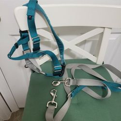 Freedom no pull harness and leash (Med)