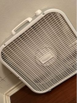 Fan