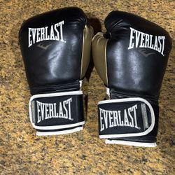 Everlast Boxing Gloves Powerlock