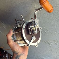  a Penn Senator  Saltwater fishing reel,