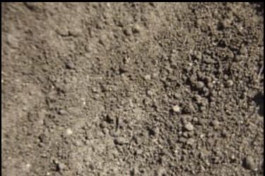 Free clean dirt free delivery