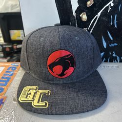 Embroidered  adjustable Thundercats logo Hat in dark gray