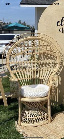 Peacock Chair