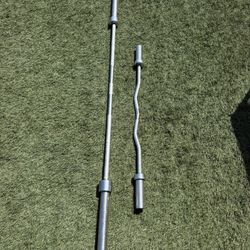 Olympic Bench and Curl Bar