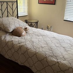 TWO TWIN BEDS/ MATTRESSES