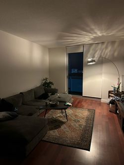 Valyou Feathers Sectional