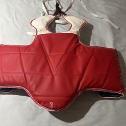 Dynamics  Taekwondo Chest Ward -size 3