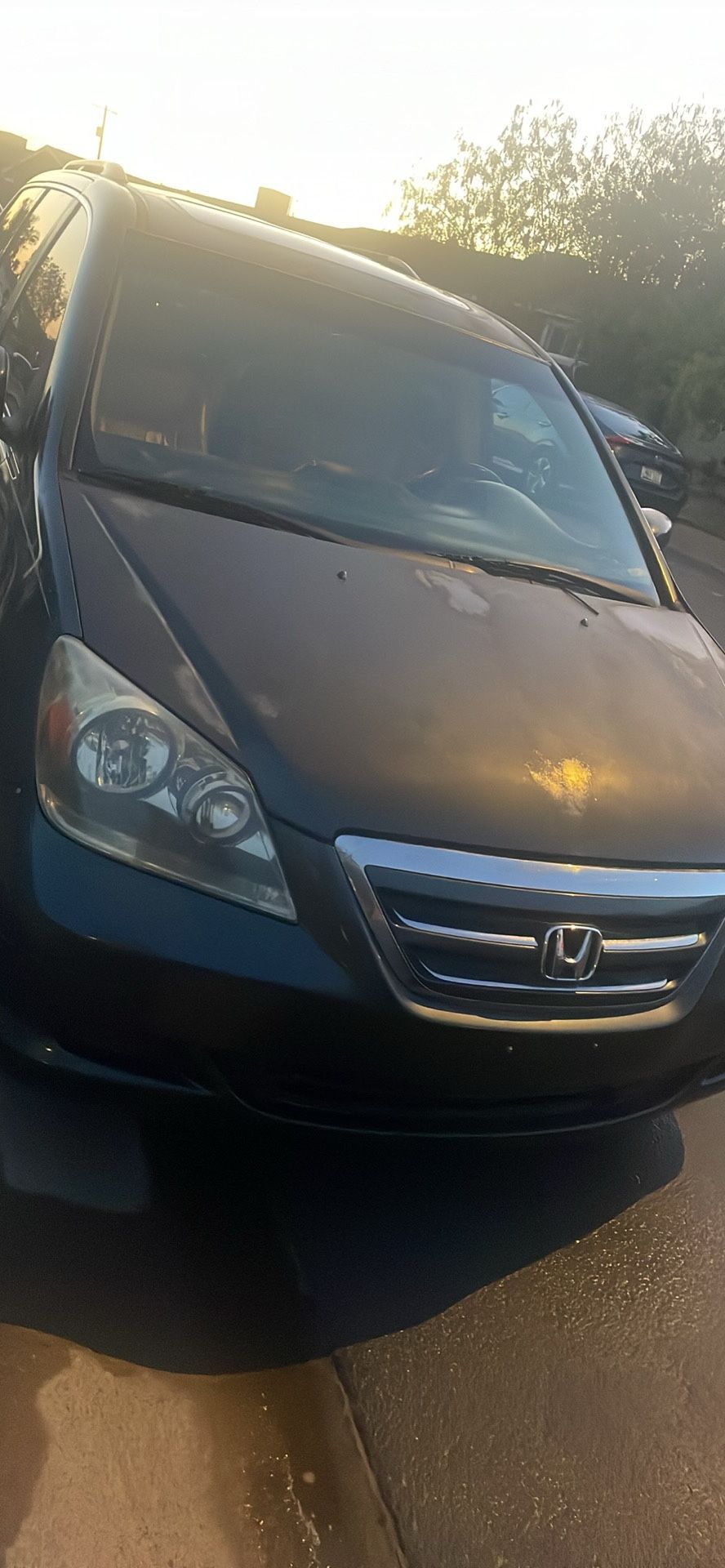 2005 Honda Odyssey