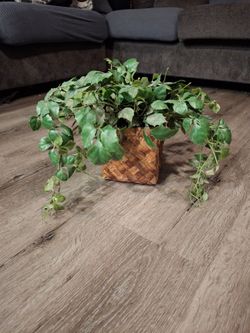 Fake Decorative Plant