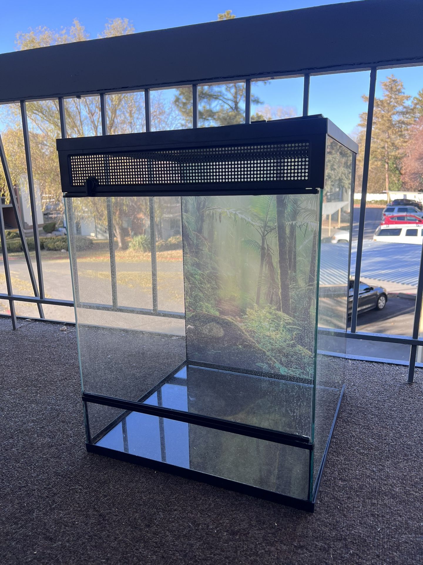 18x18x24 THRIVE Terrarium