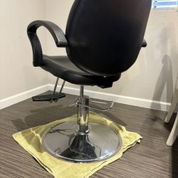 Salon Chair