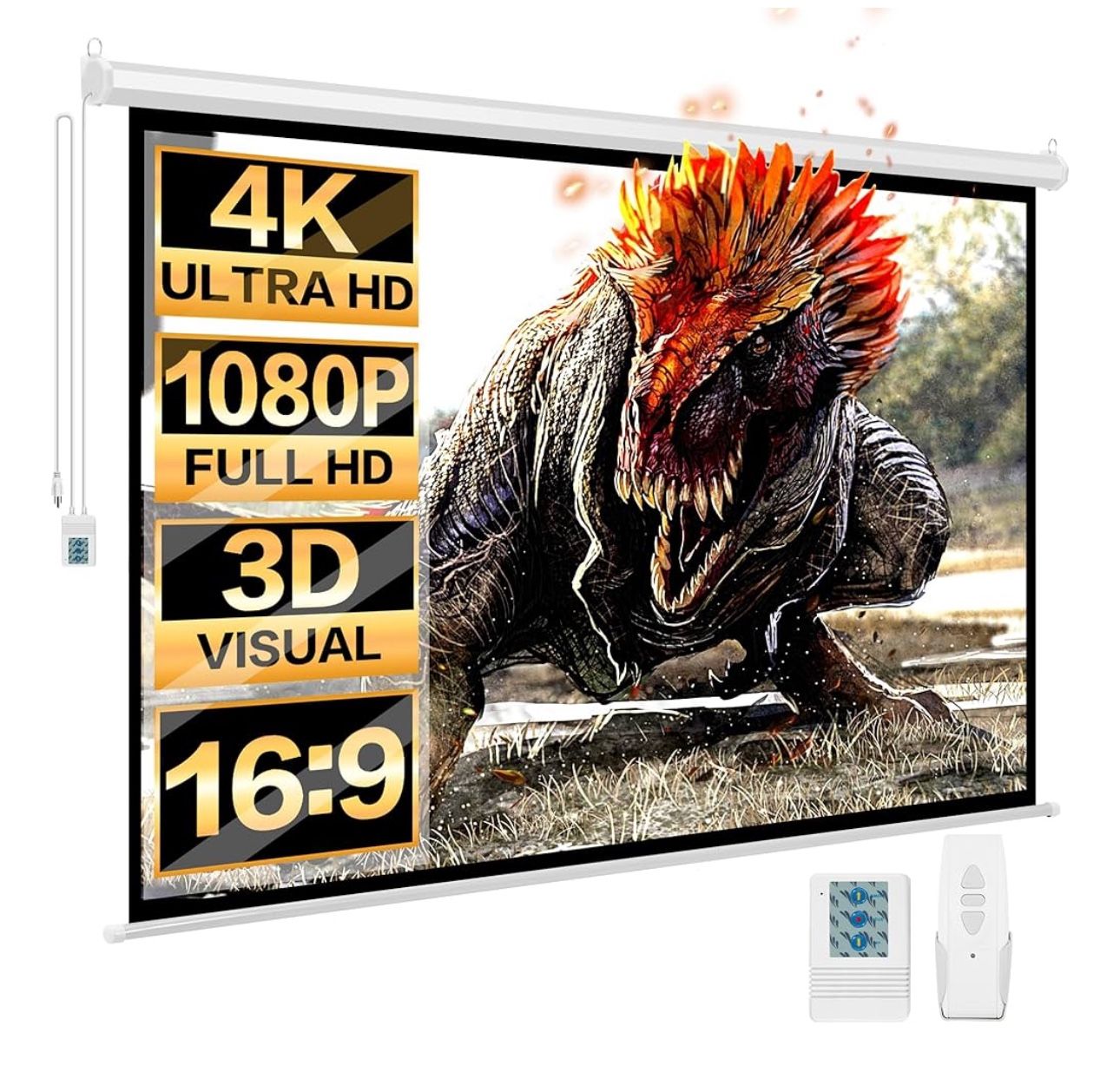 Projector screen Drop Down