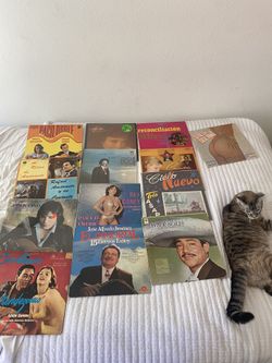 Vintage Vinyl Records (Cat Not Included)