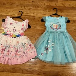 2Pcs Girls Size 5/6 Disney Frozen And Diana Floral Dress, take both for $5 cash at pickup in Apex