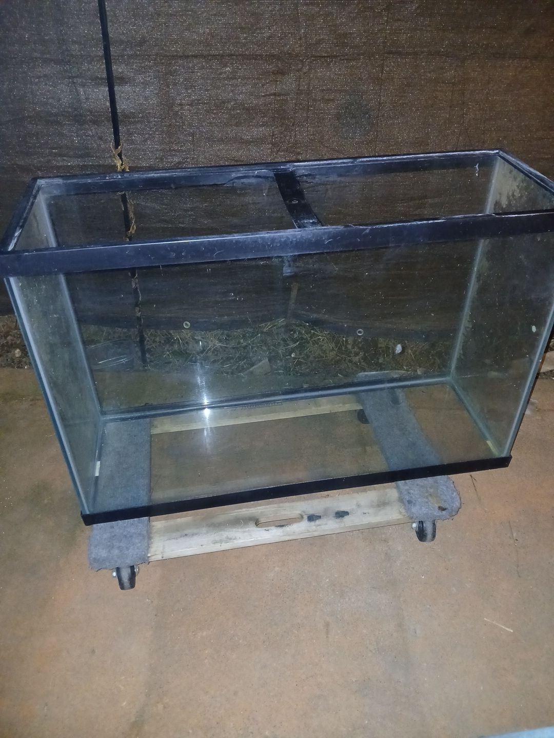 Free 40 gal aquarium does not leak