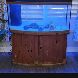 Spectacular Marine/ Salt Water Aquarium ., Fish Tank