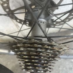 Bicycle Rims And Tires 