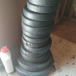 Weights For Working Out