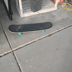 Skate Board 