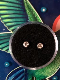 White Gold Plated Studs