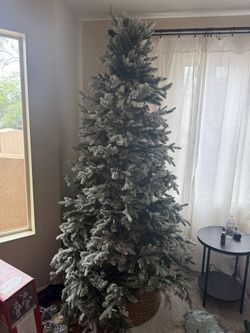 Flocked Christmas Tree Frosted With Lights