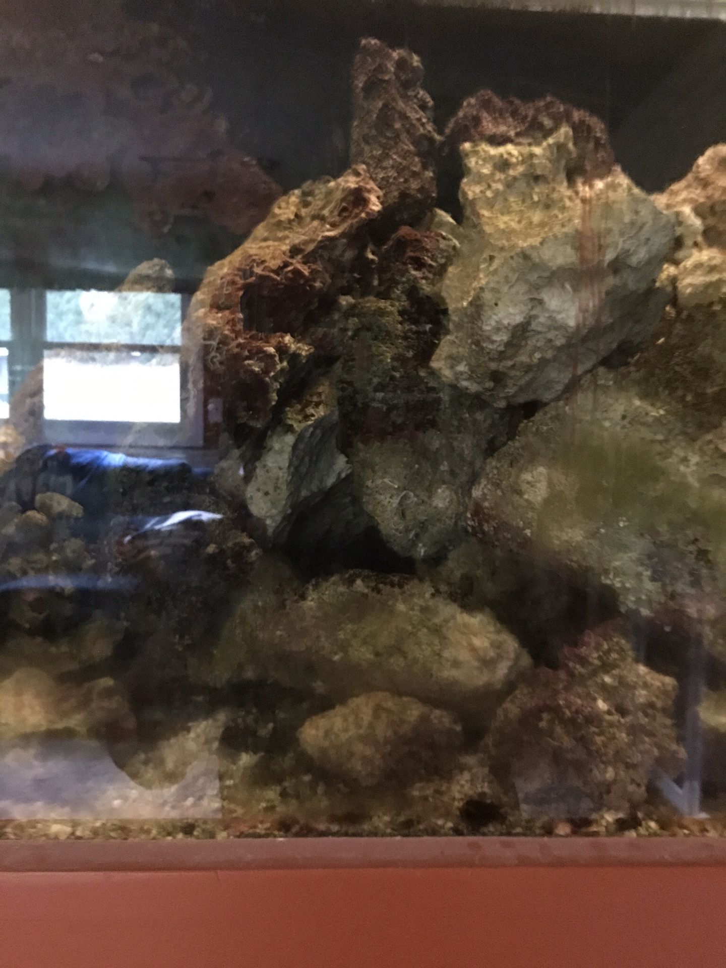 Salt water aquarium rock