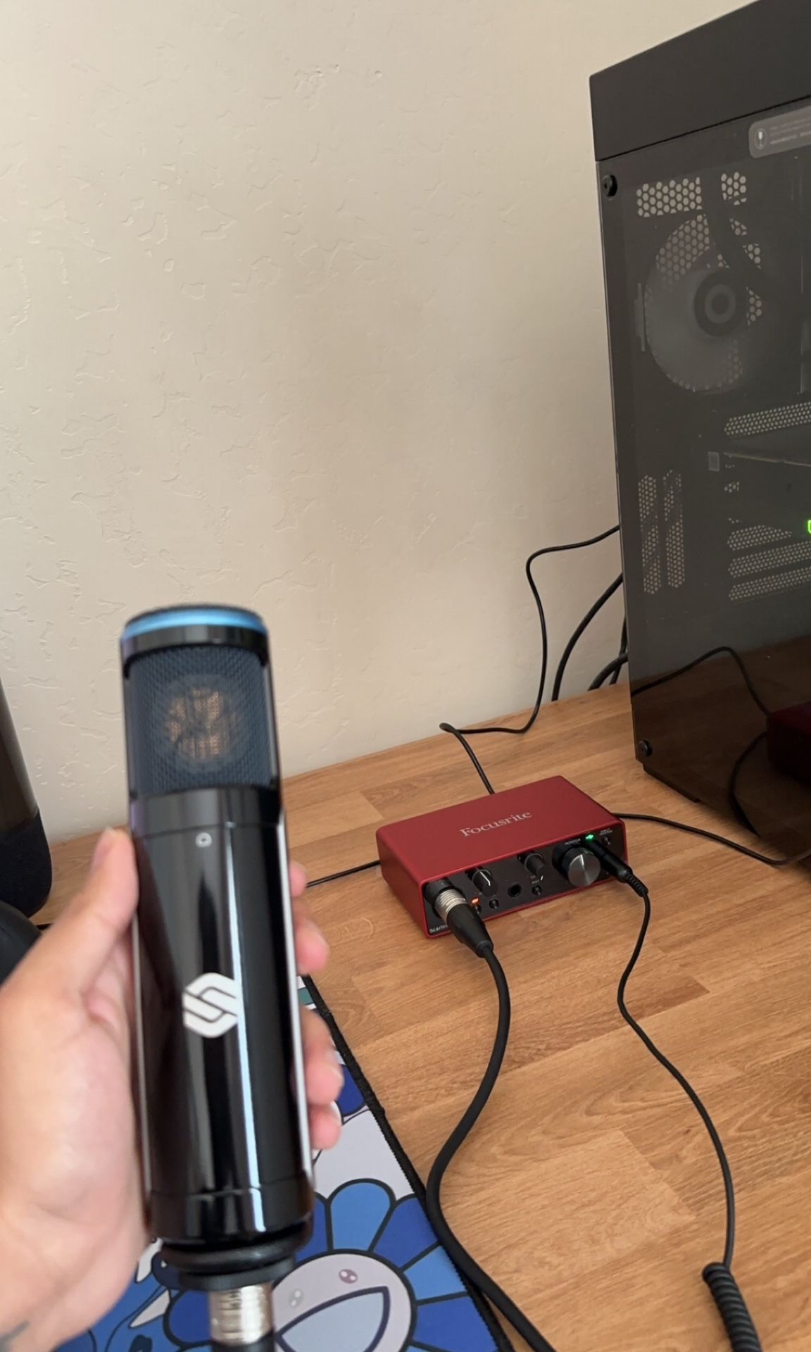 Recording Microphone
