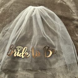Bachelorette Veil