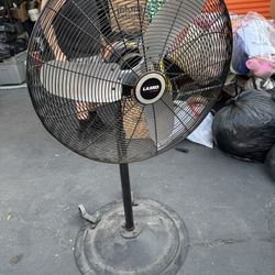 Fans