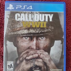 Call of Duty WWII
 For Playstation 4 