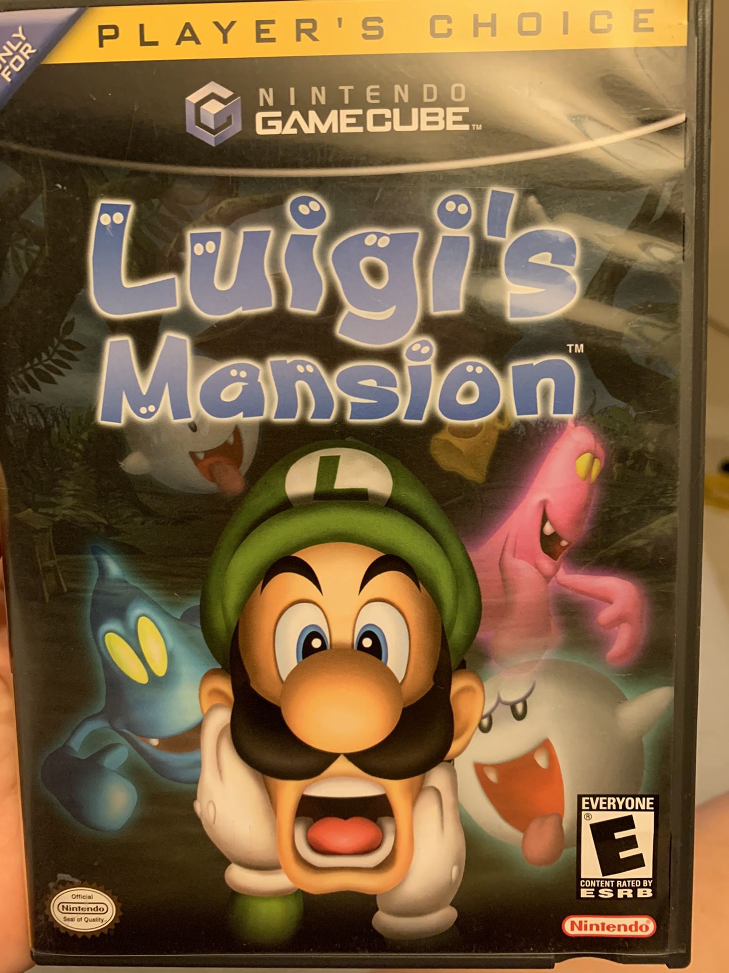 Luigis Mansion