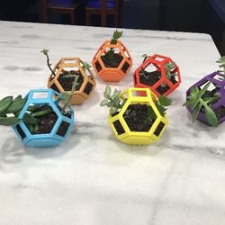 Plantygon Succulent Planters