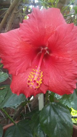 "Help me clean my page"