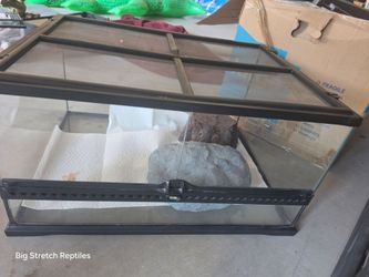 Reptile Enclosure