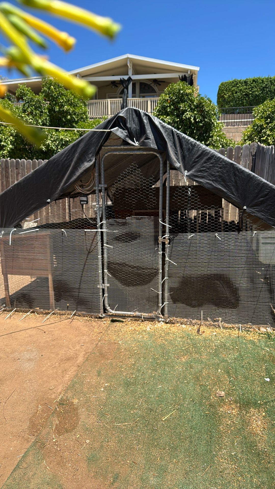 Chicken Coop $150 OBO