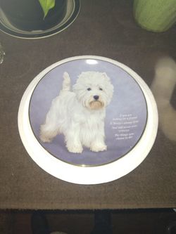 Another Cute Colletors Plate