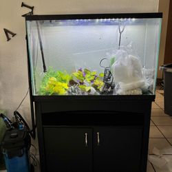 55 Gallon Fish Tank Full Set up