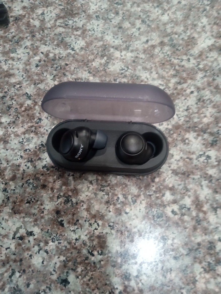 Earbuds  Sony.Used
