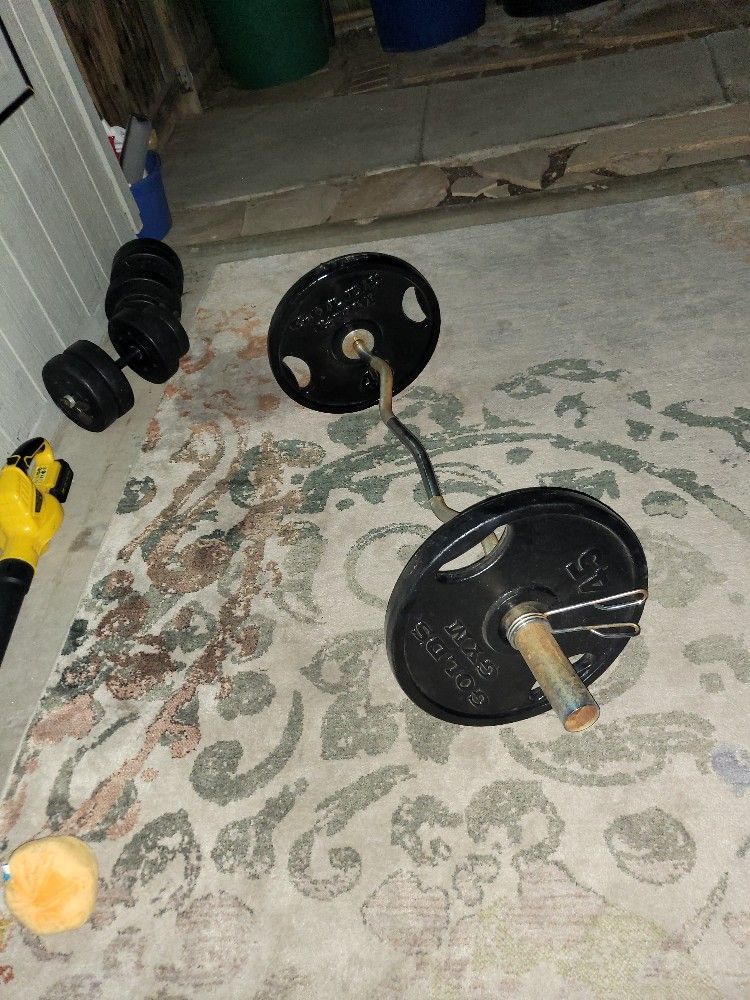 Curl Bar With 2 45lbs Weights 